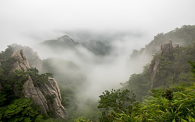 대둔산의 여름