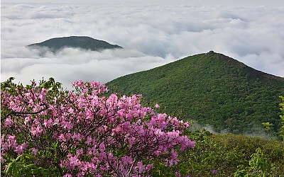 무등산의 봄