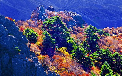 추억의지리산 122   박환윤