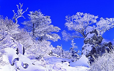 추억의지리산  64