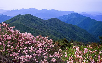 추억의지리산  72