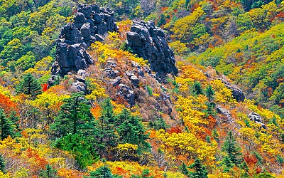 추억의지리산  125  박환윤