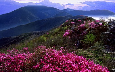 추억의 지리산  90