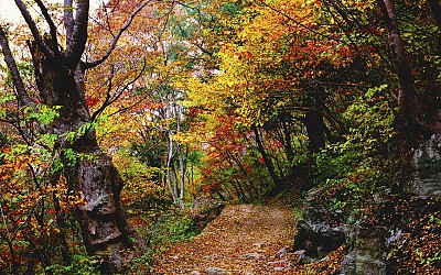 추억의지리산    138   박환윤