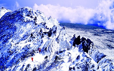 한라산   8