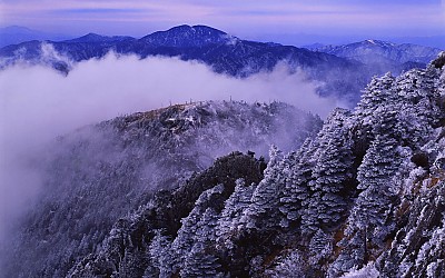 추억의 지리산   28    박환윤