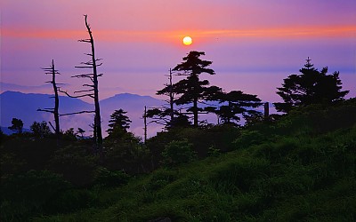 추 억의지리산   110    박환윤