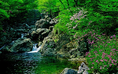 추억의지리산 81