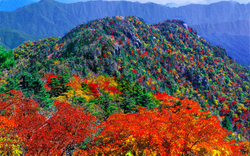 추억의지리산    135     박환윤