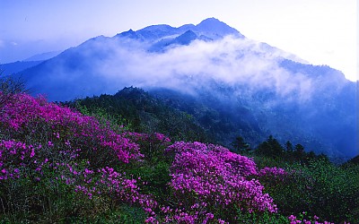 추억의지리산  71