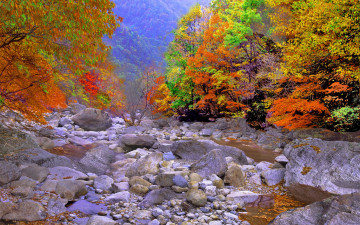 추억의지리산   127   박환윤