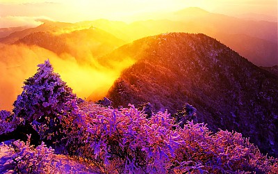 추억의지산 16