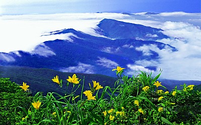 추억의지리산  47