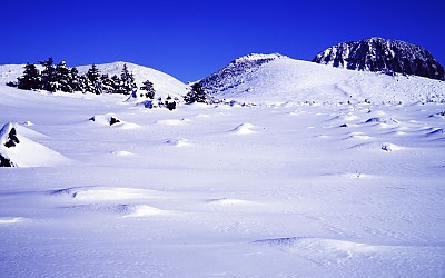 한라산  7