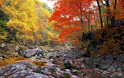 추억의지리산     116  박환윤