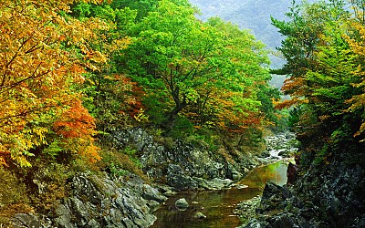 추억의지리산   55