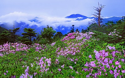 추억의지리산  73