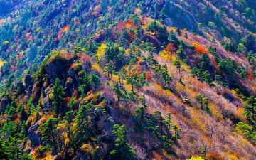 추억의지리산  132  박환윤