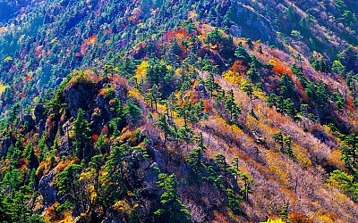 추억의지리산  132  박환윤