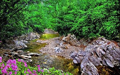 추억의 지리산  56