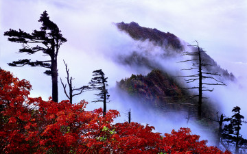 추억의지리산  134    박환윤