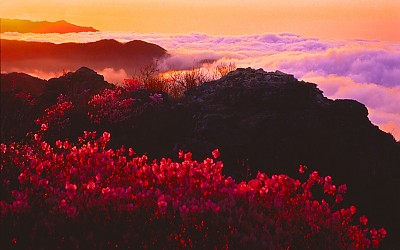 추억의지리산  92