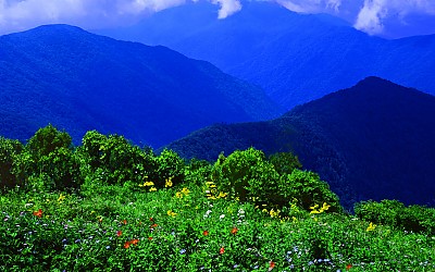 추억의지리산  85