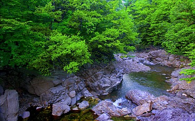추억의지리산  57