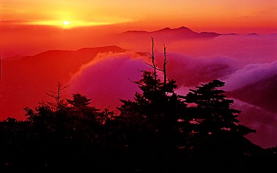 추억의지리산   107   박환윤