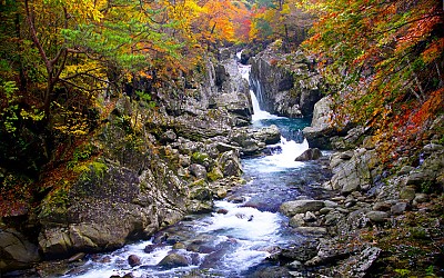 추억의지리산   51