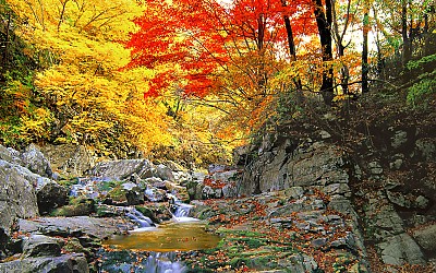 추억의지리산   59