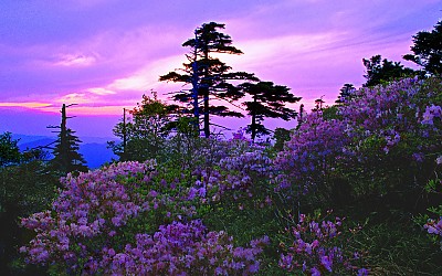 추억의지리산  40
