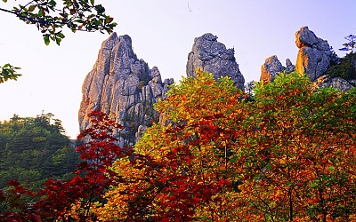설아산  21