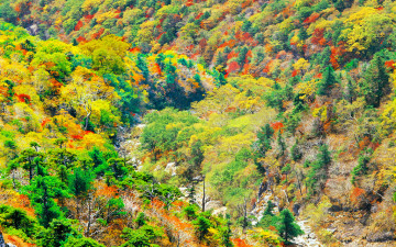 추억의자라산     131   박한윤