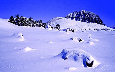 한라산  3   박환윤