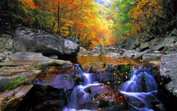 추억의지리산  136   박환윤