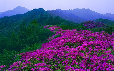 추억의지리산  33