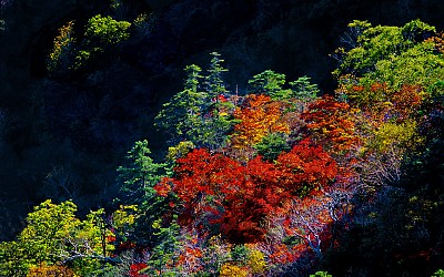 추억읟지리산  48