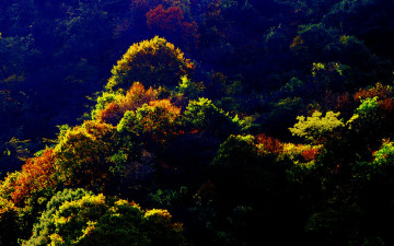 ㅊ푸억의지리산 128  박환윤