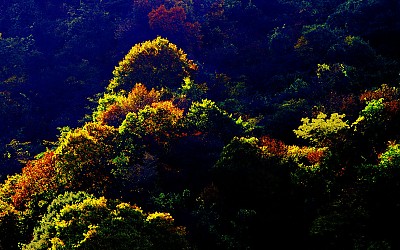 ㅊ푸억의지리산 128  박환윤
