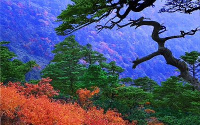 추억의지리산  61