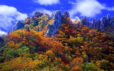 천관산  22