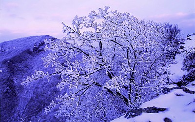 운장산   16