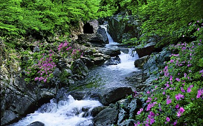 추억의 지리산   52