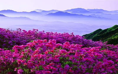 추억의 지리산   31