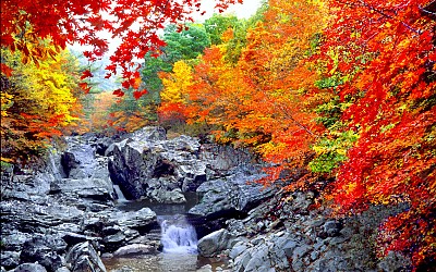 추억의지리산  53