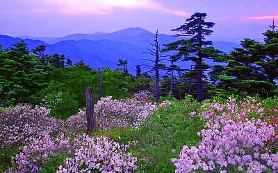 추억의지리산 74