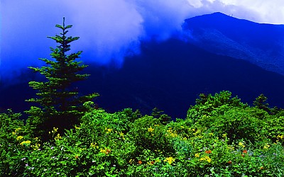 추억의지리산  88