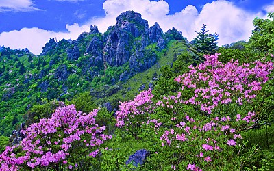 추억의지리산   77