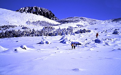 한라산 5
